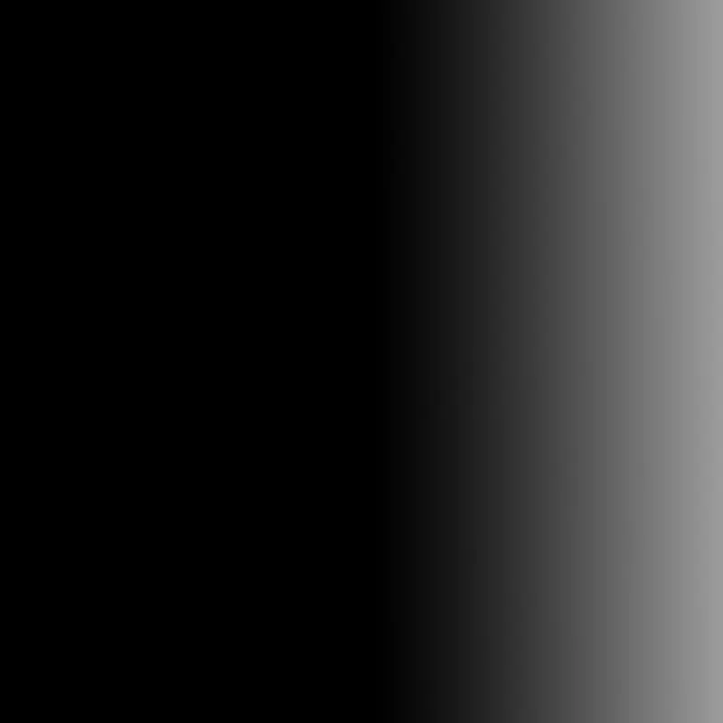 206 TRANSPARENT BLACK LP391